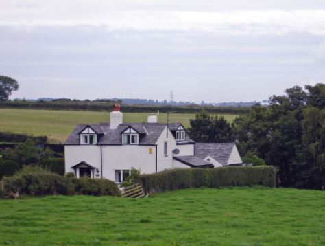 brookfarm